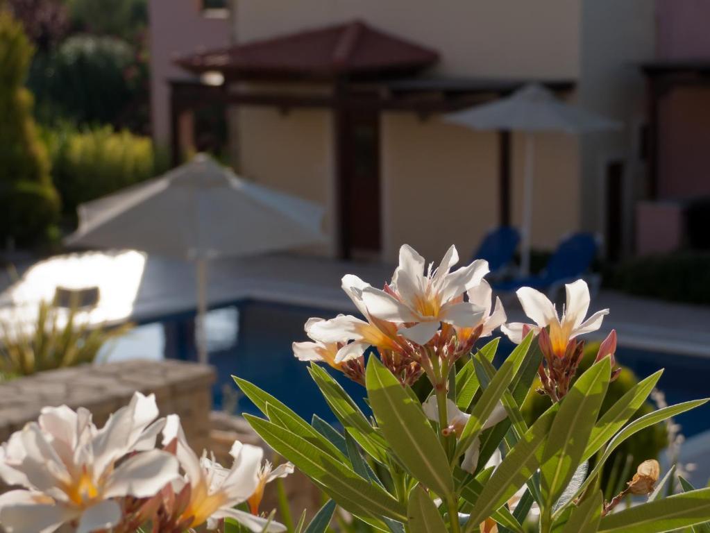 Eligia Villas Mixorrouma Номер фото